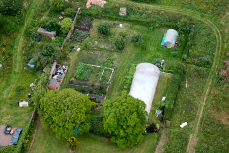 Plan How Many Vegetable Plants Per Person are Needed in Your Garden